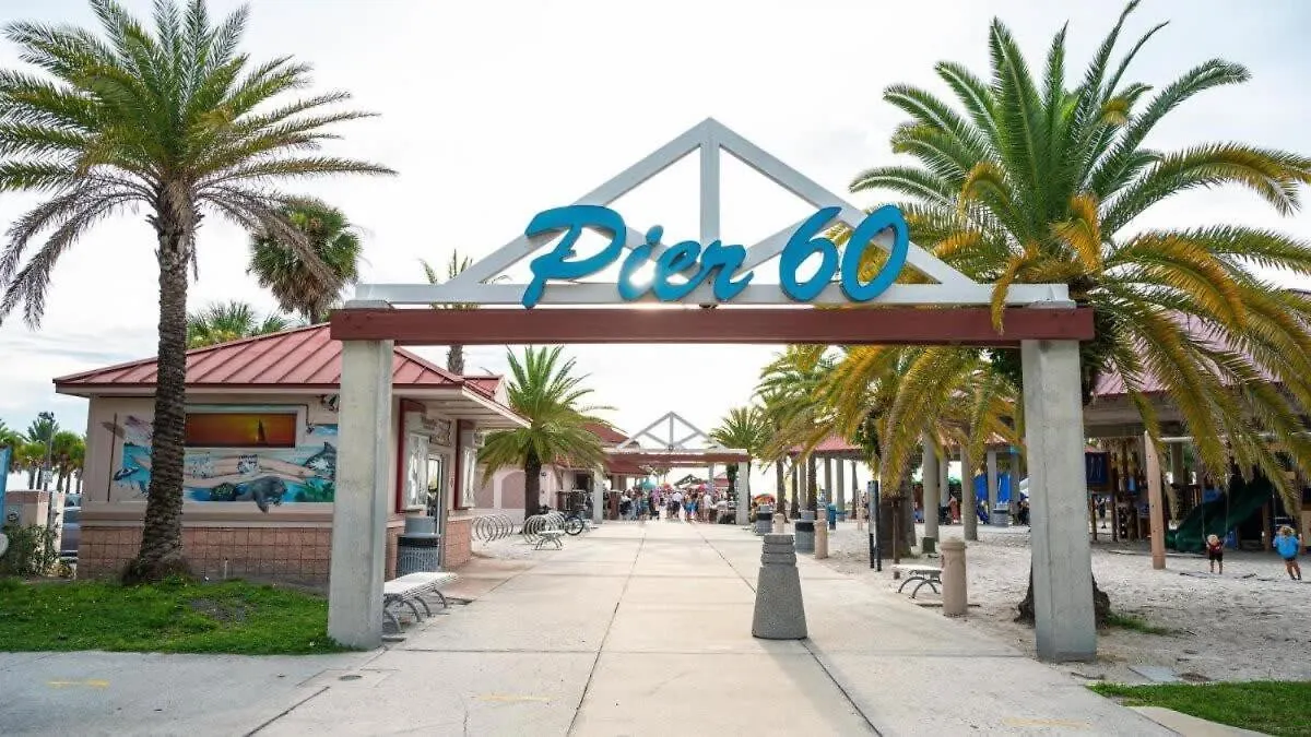 Long Term Stays Allowed Pet Friendly & Pool Tampa Apartment