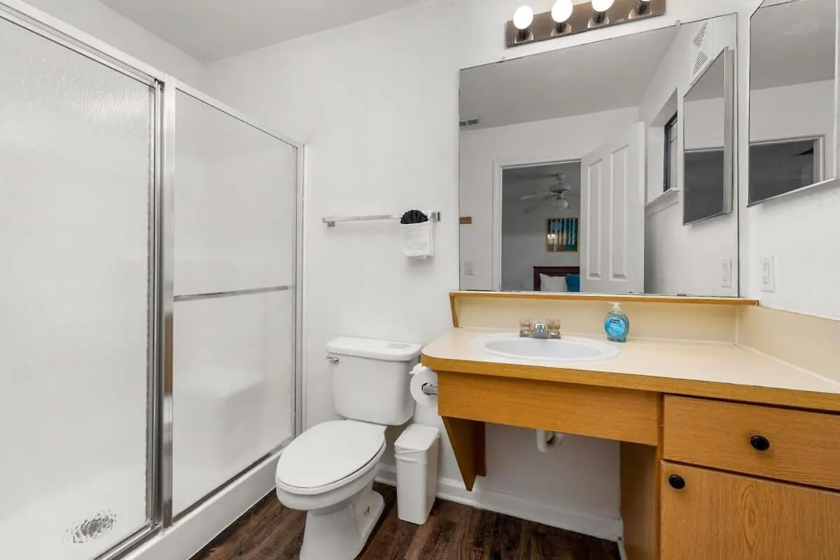 Apartment Long Term Stays Allowed Pet Friendly & Pool Tampa