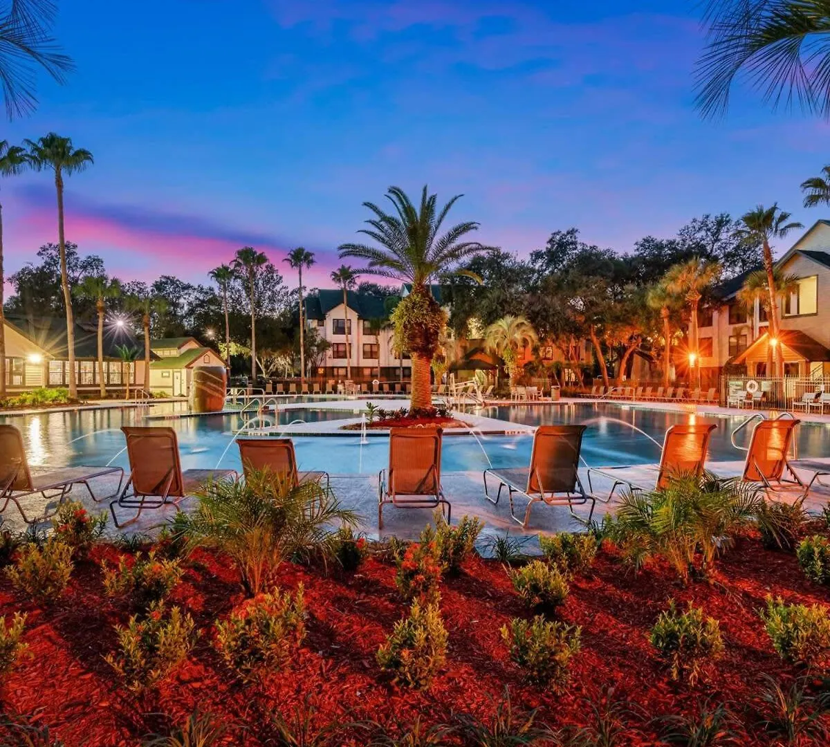 Long Term Stays Allowed Pet Friendly & Pool Tampa