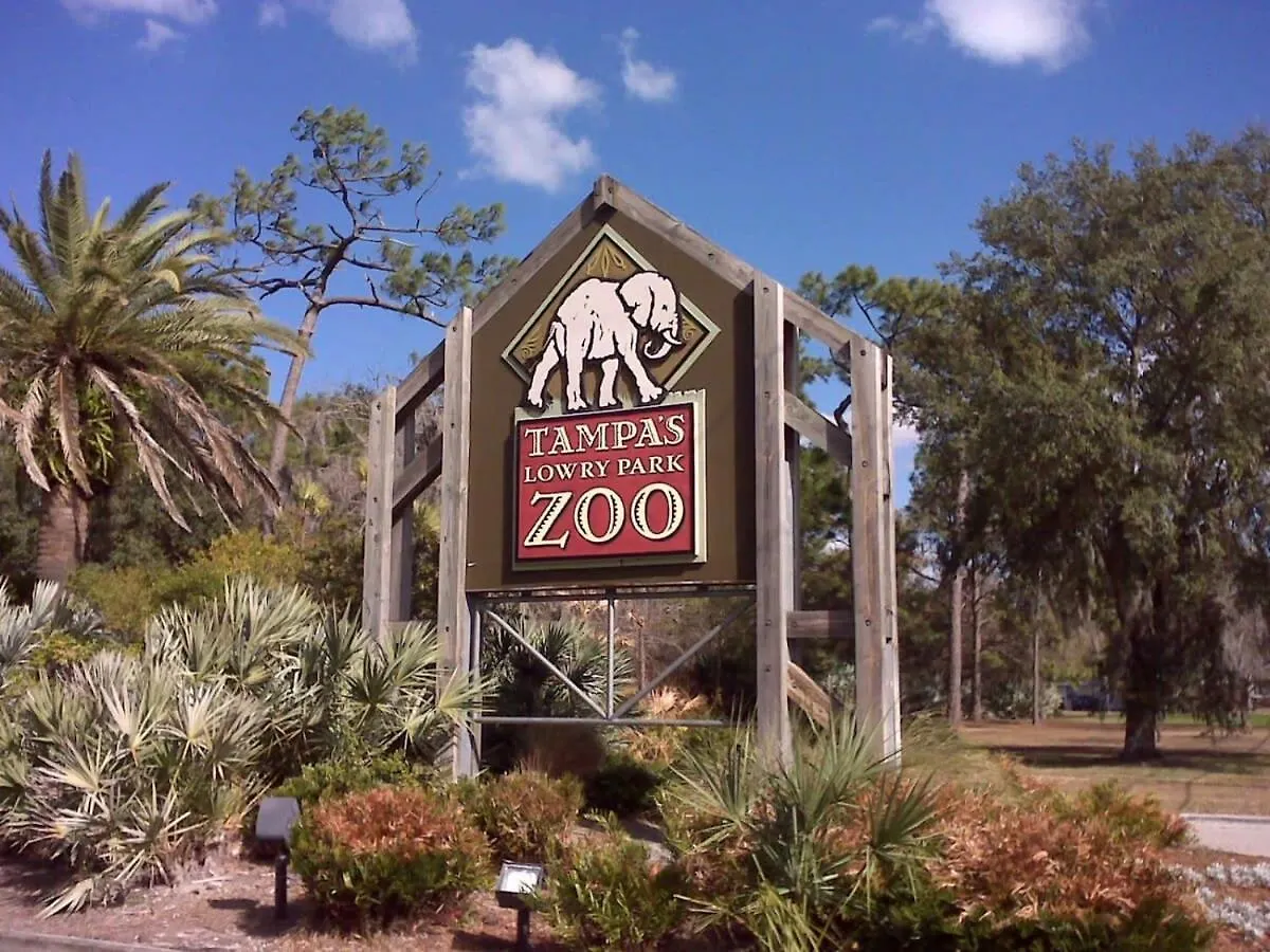 Apartment Long Term Stays Allowed Pet Friendly & Pool Tampa
