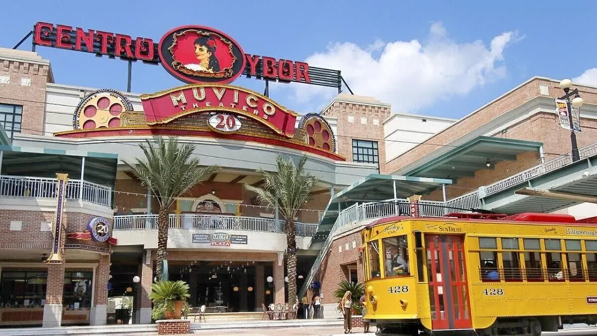 Apartment Long Term Stays Allowed Pet Friendly & Pool Tampa