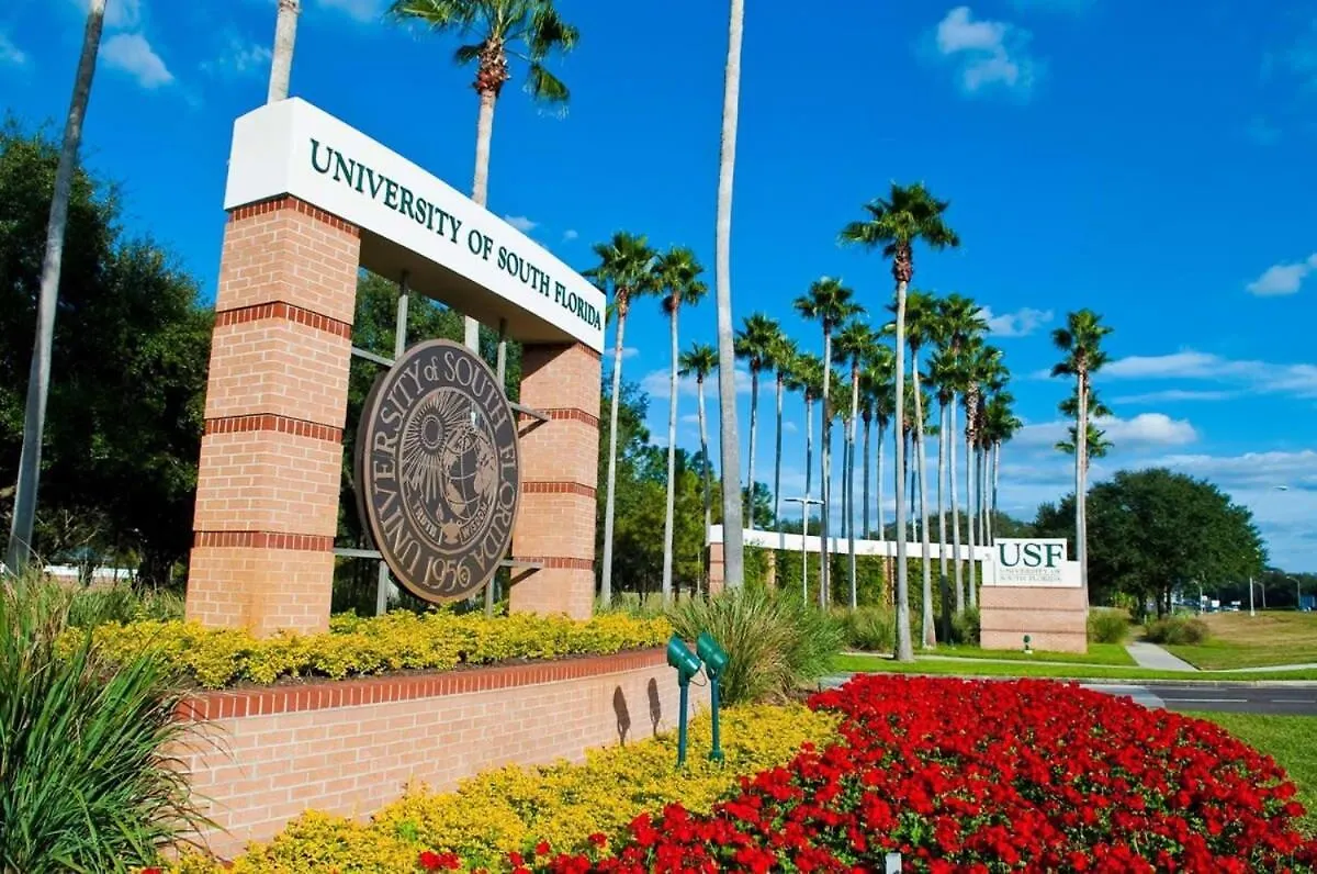 Long Term Stays Allowed Pet Friendly & Pool Tampa 0*,